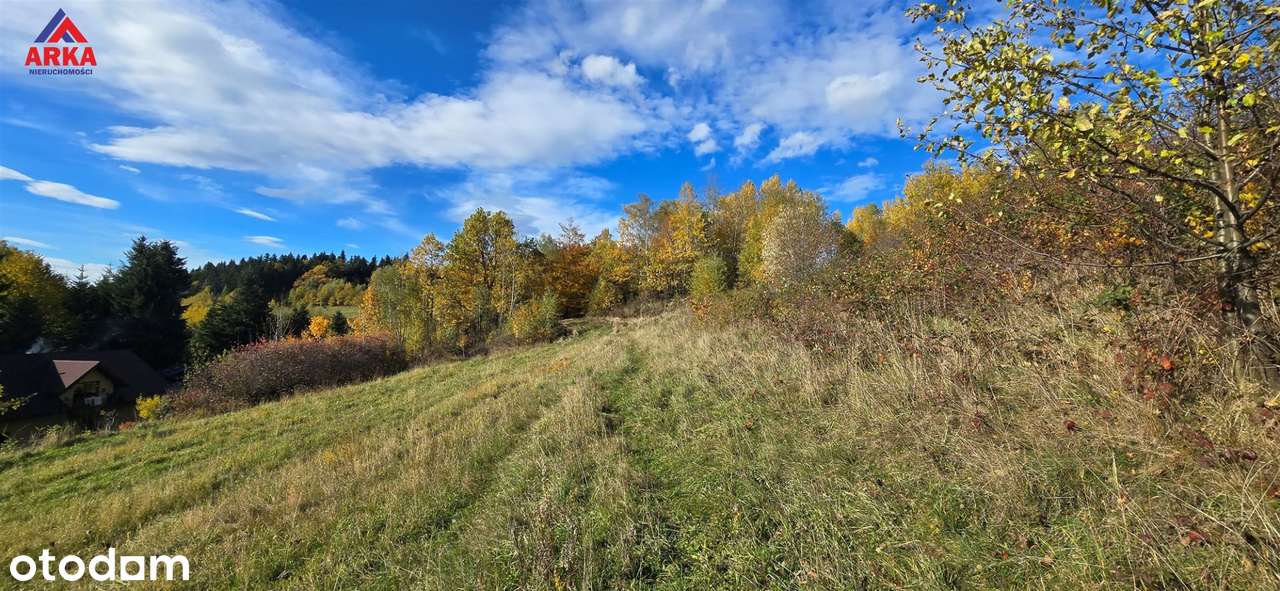 Widokowa działka z panoramą Beskidu Wyspowego-5