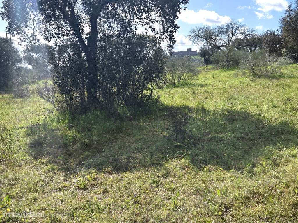 Terreno Rústico Junto à Barragem de Lucefecit, em Terena - Grande imagem: 3/15