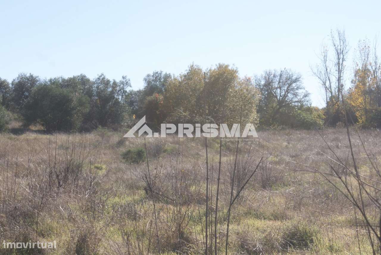 Oportunidade Única às Portas de Castelo Branco!-28