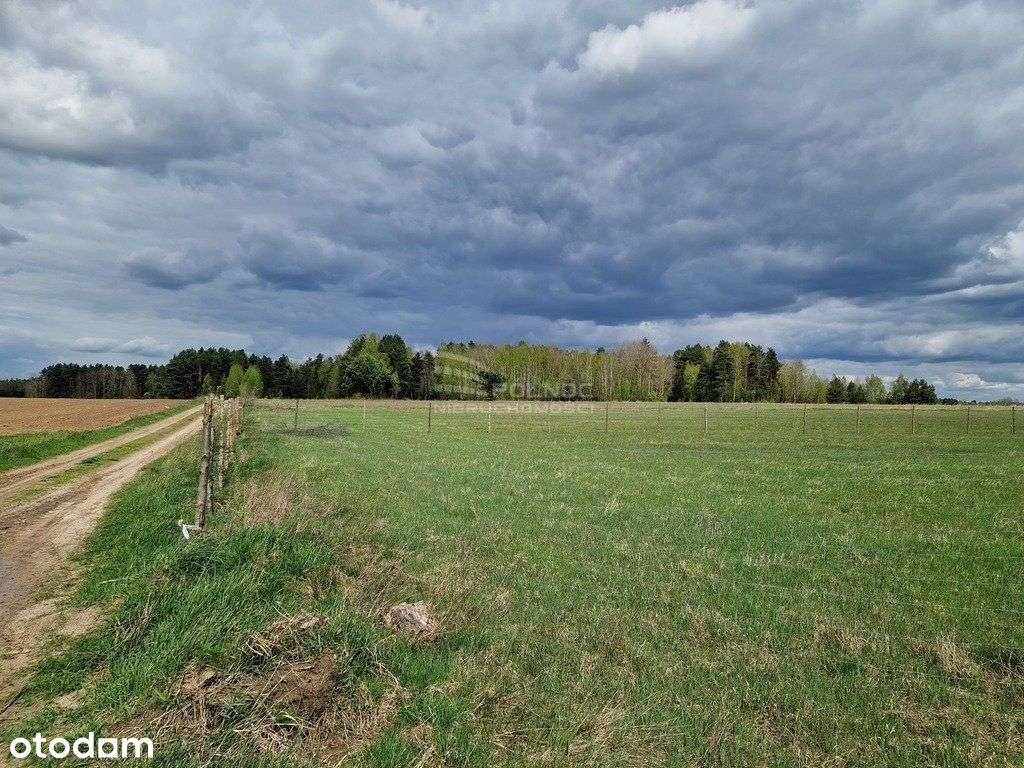 Henrykowo – Raj wśród zieleni, spokój i natura-2