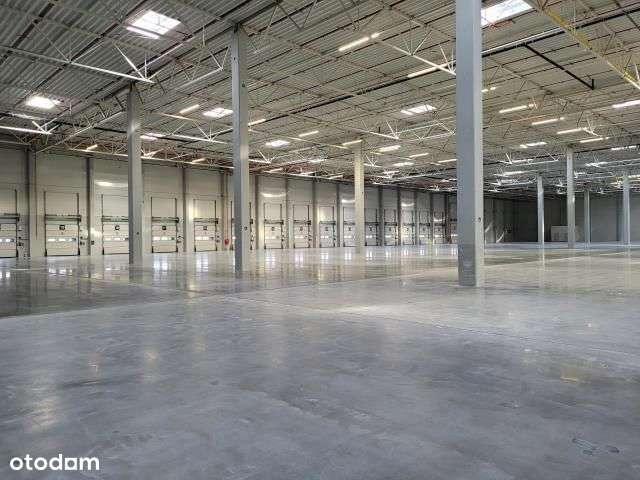 Nowoczesny magazyn w Niepołomicach - Pełny obrazek: 3/3