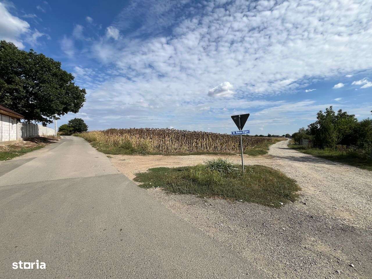 Parcele teren rezidential Moara Vlasiei-10 min de Bucuresti - Imagine principală: 2/3