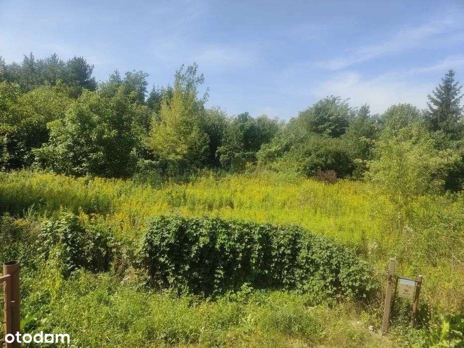 Ciche miejsce,idealna na bliźniak lub wolnostojący-2