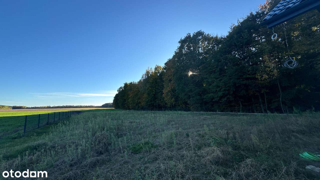 Zamieszkaj w domu pod lasem w Rotnowie - 3km od Gryfic-19