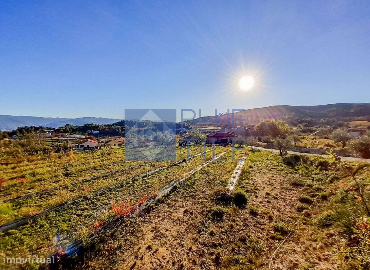 Quinta Excepcional em Gestaçô-34