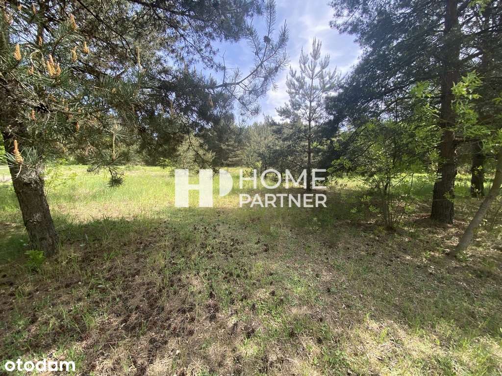 Bezpośrednio przy Mazowieckiej, usługi, mieszkanie-8