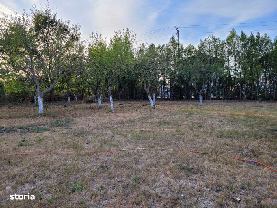 De vanzare teren intravilan 1000 mp. Corbeanca - Imagine principală: 5/5