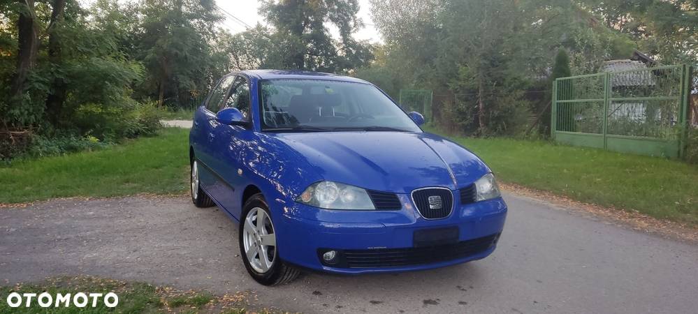 Seat Ibiza - 16