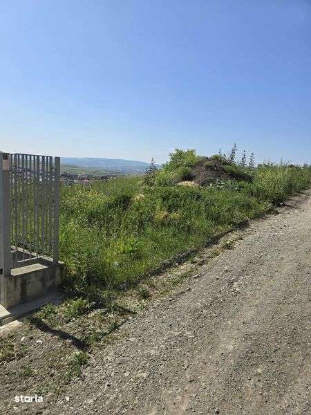 Teren intravilan Desmir - Imagine principală: 4/7