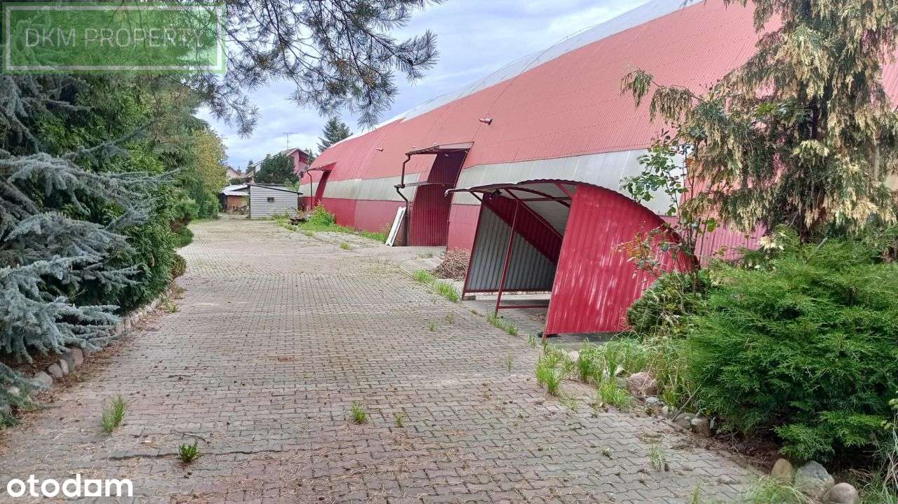 Hala produkcyjna Nowoczesne Biura i Socjal-4