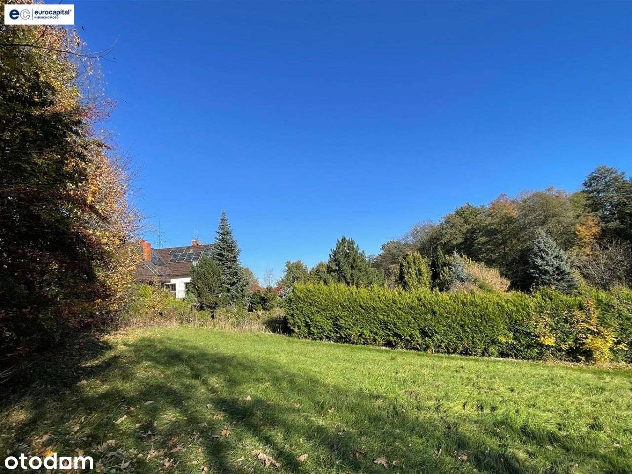 Duża działka w sasiedztwie zagajnika i strumyka!-14