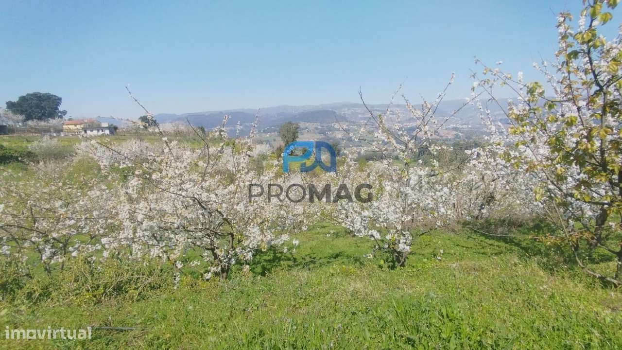 Quinta do Valado- Excelente Investimento em Resende-14