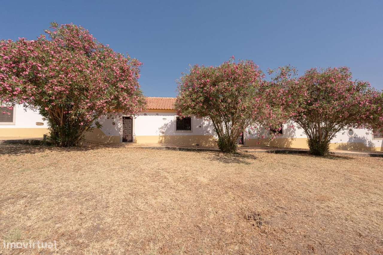 Herdade 4.0 ha, Álcacer do Sal, Alcacer do Sal-27