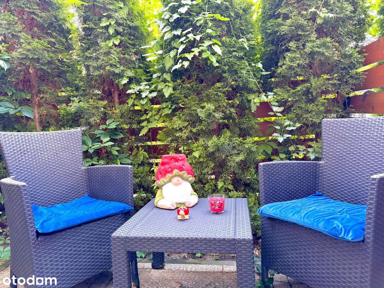 Okazja, 1pok. z  ogrodem-11