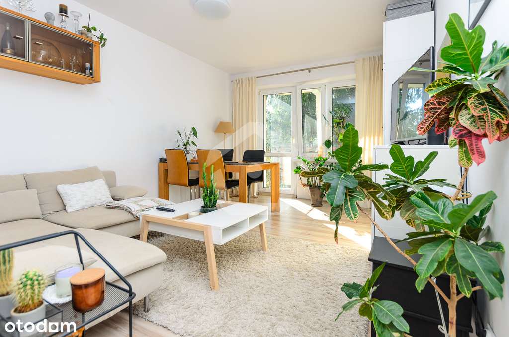 2 niezależne pokoje, jasna duża kuchnia - zadbane - Pełny obrazek: 2/14