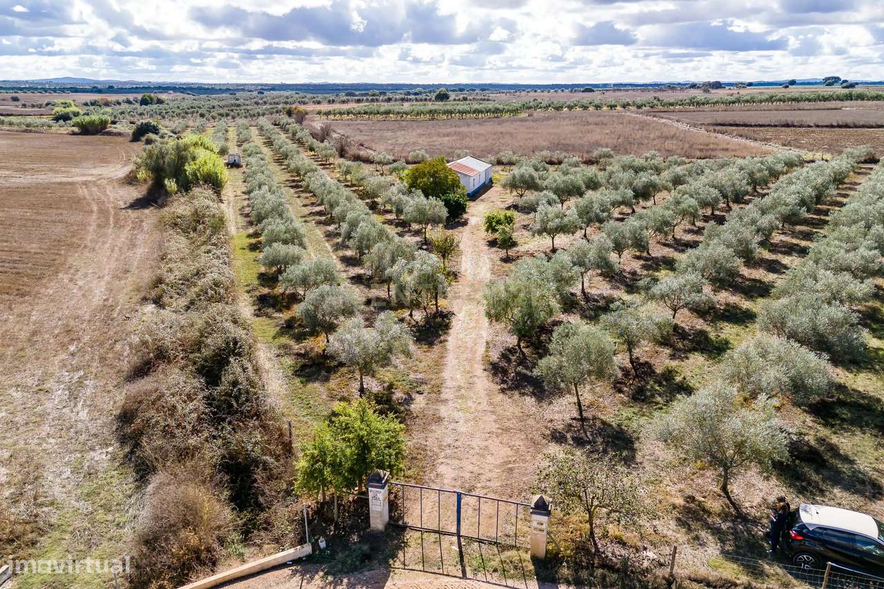 Monte Alentejano em Casa Branca, Sousel - 2 Quartos e Vista Campestre-15