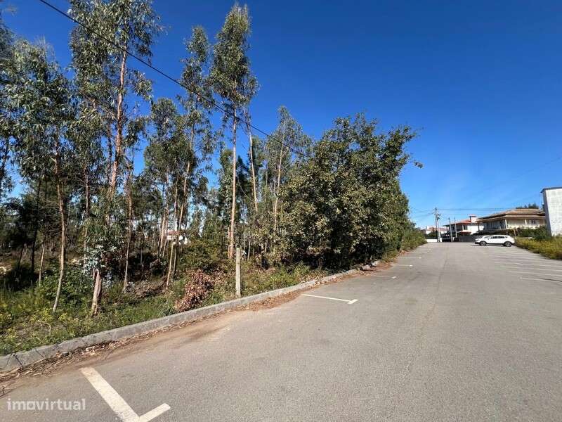Terreno Pinheiro da Bemposta - Grande imagem: 4/18