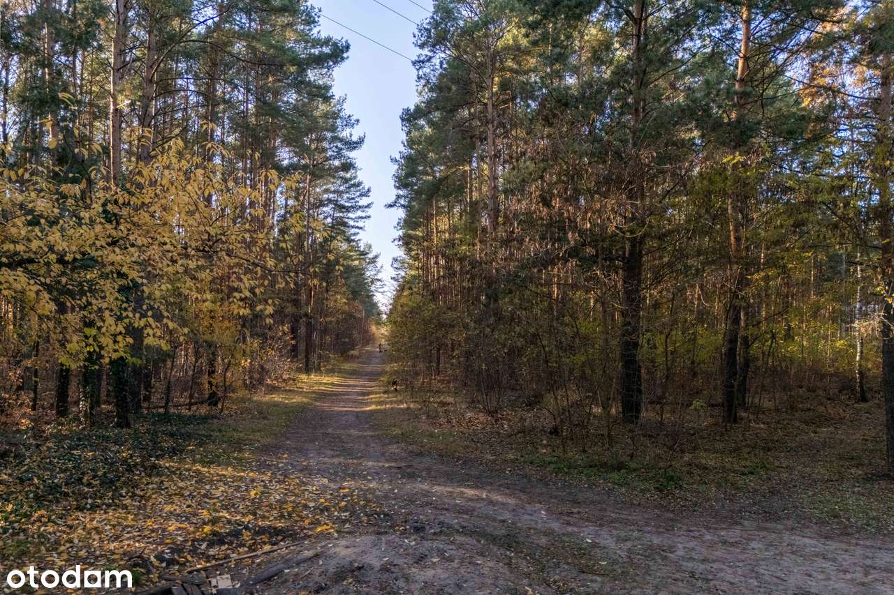 Ekskluzywna Działka pod Rezydencję w Radości-4