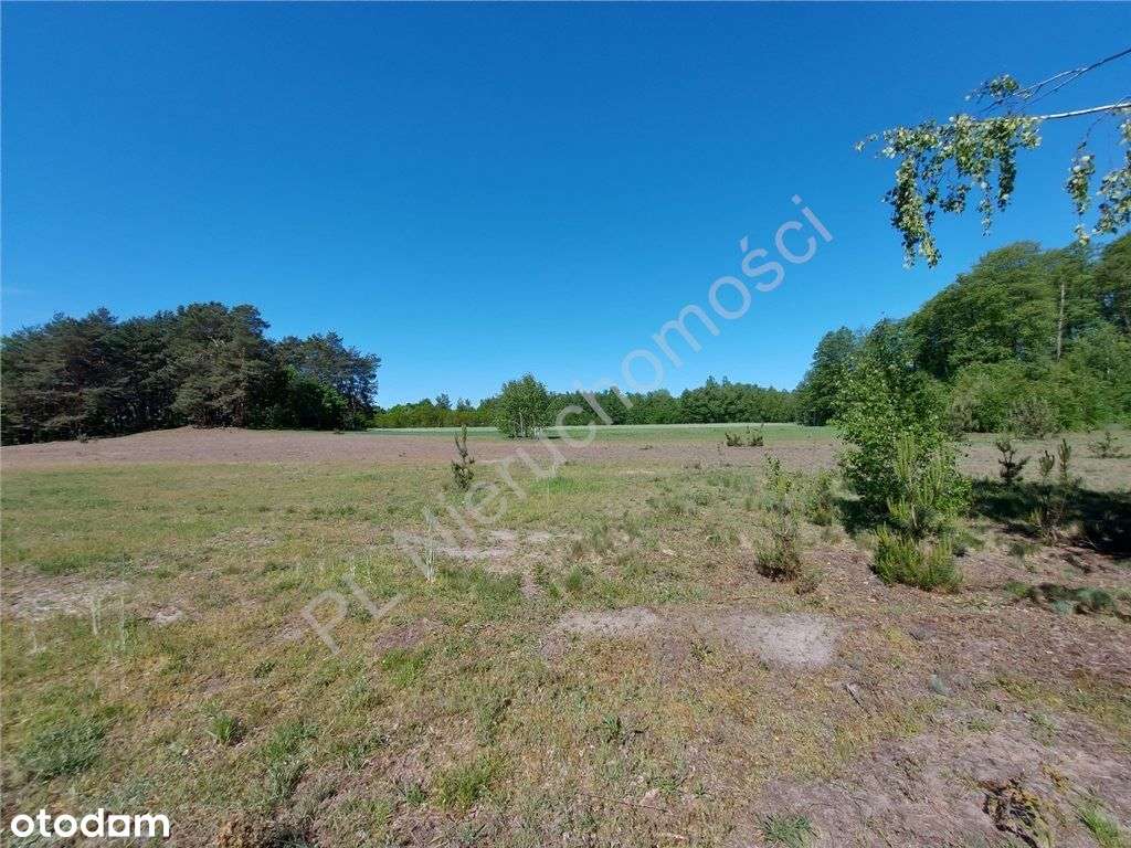 Dogodne Wymiary, Media, Magiczny Widok.-6