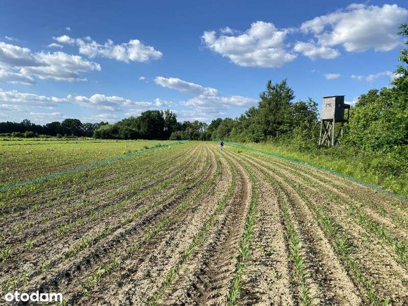 działka REKREACYJNA przy STAWACH 2979m2 możliwa zamiana - Pełny obrazek: 4/9
