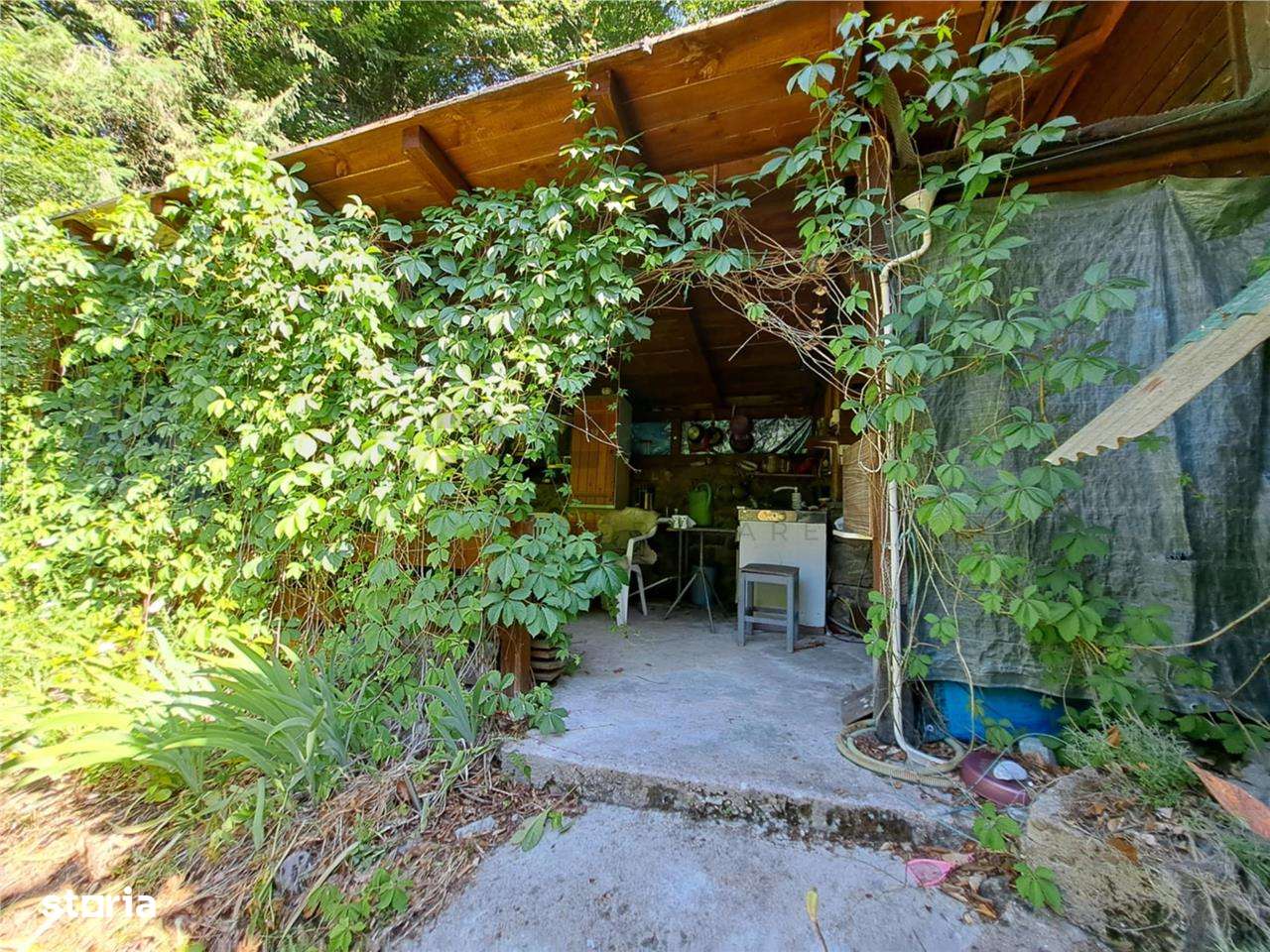 RECO  Casa Boga - Imagine principală: 5/20