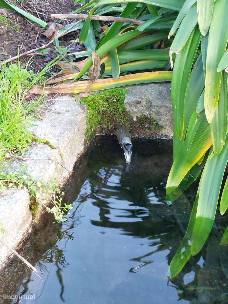 Casa de Silvares - Grande imagem: 4/14