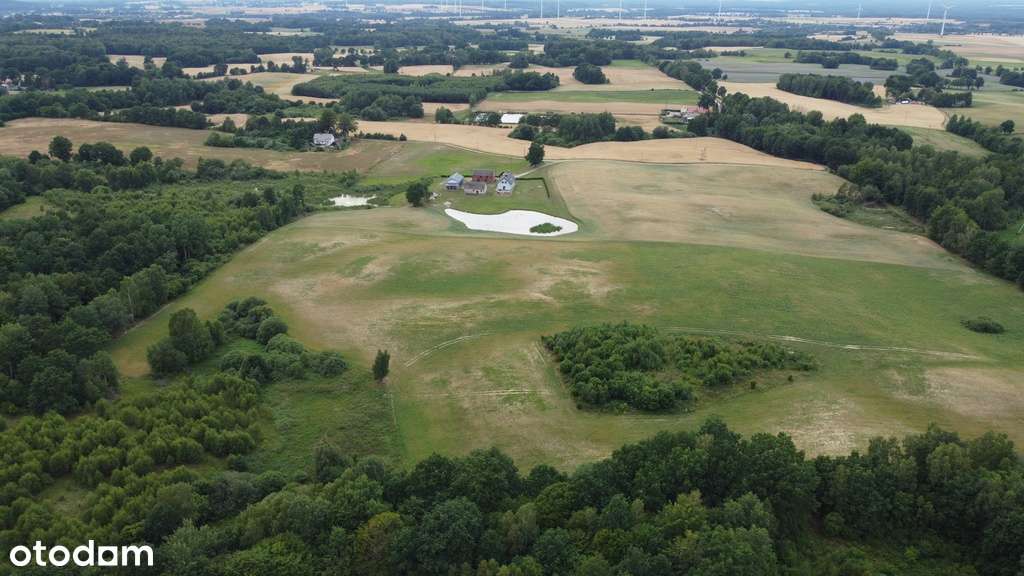 Działki na sprzedaż KNYKI  12 Hektarów - Pełny obrazek: 5/6
