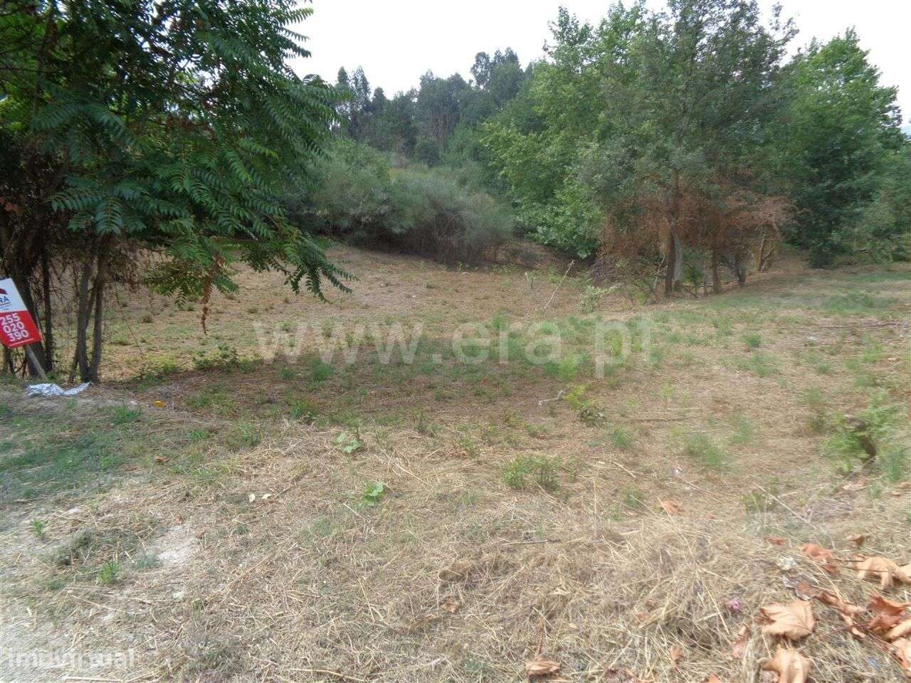 Terreno Rústico / Marco de Canaveses, Banho e Carvalhosa - Grande imagem: 5/6