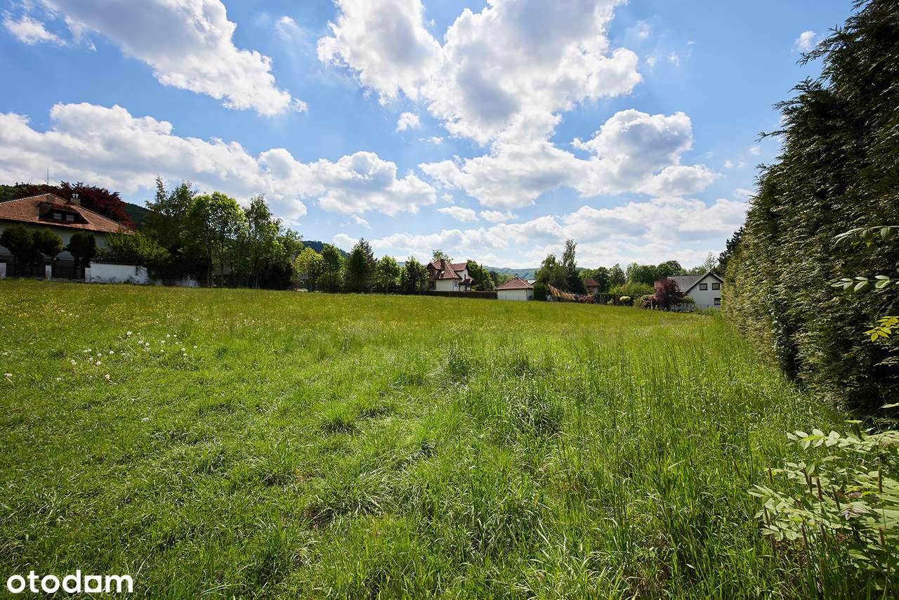 Działka, 4 702 m², Jaworze-8