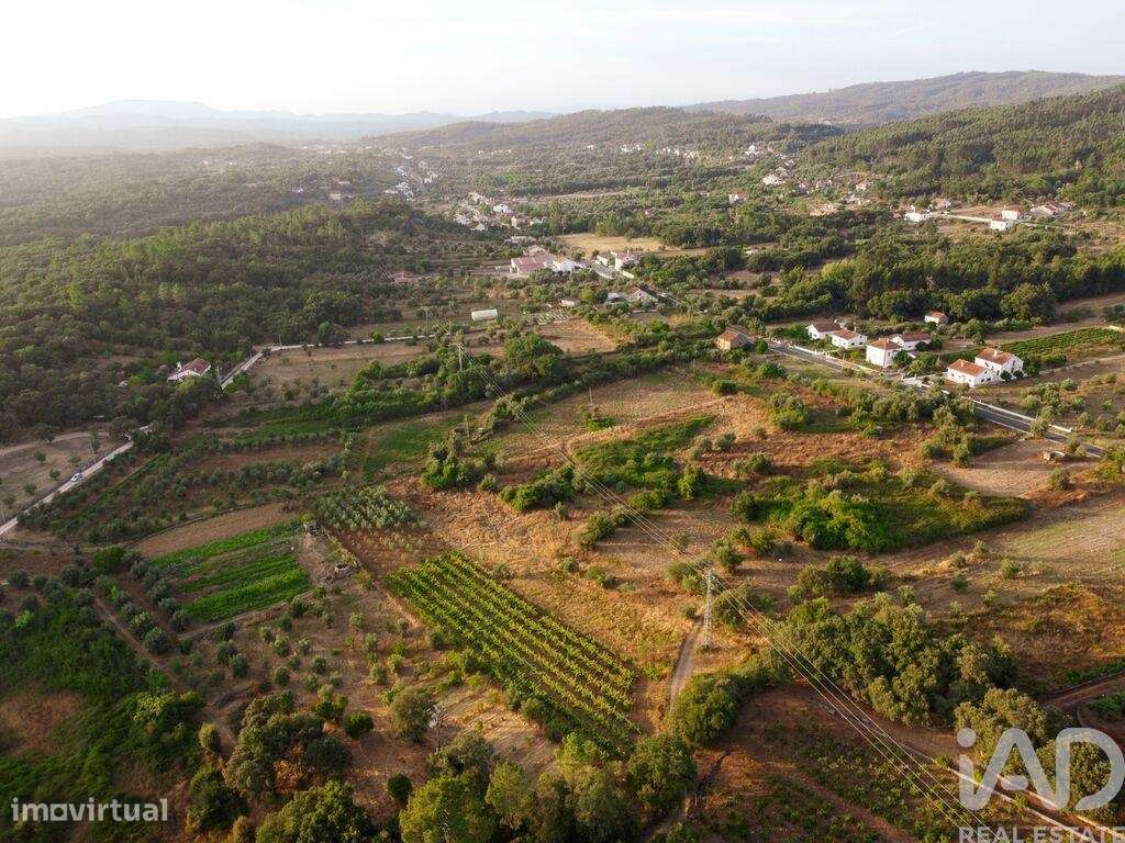 Terreno em Areias e Pias de 3000,00 m2 - Grande imagem: 4/30