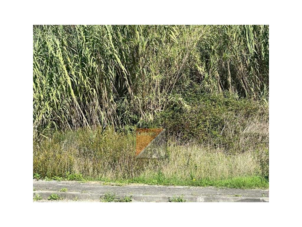 Terreno Barosa Leiria-11