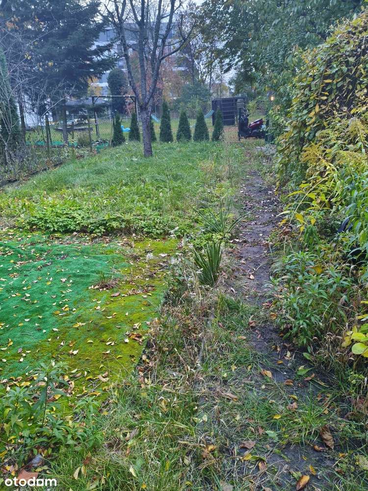 Działka ROD Jedność!! Z altaną murowaną!! - Pełny obrazek: 2/7