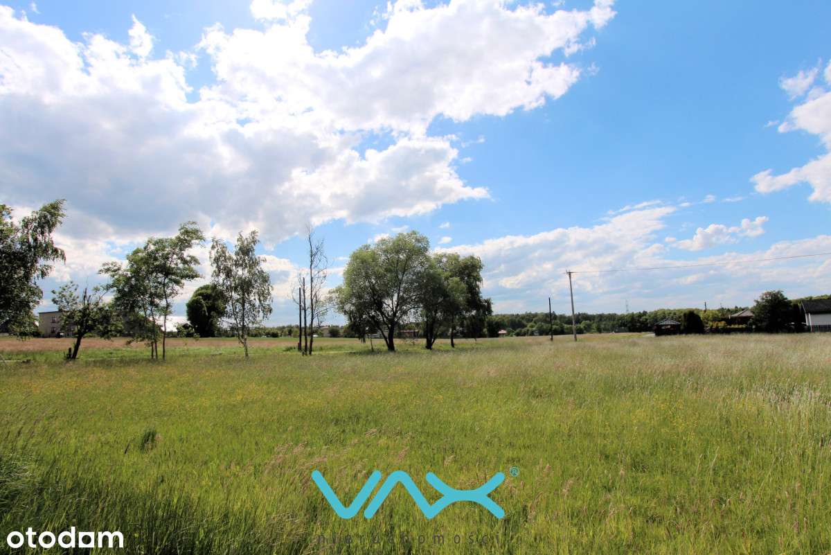 Działka blisko lasu - Pełny obrazek: 5/15