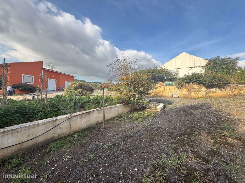 Quintinha com habitação, armazéns e terreno - Rio Maior-32