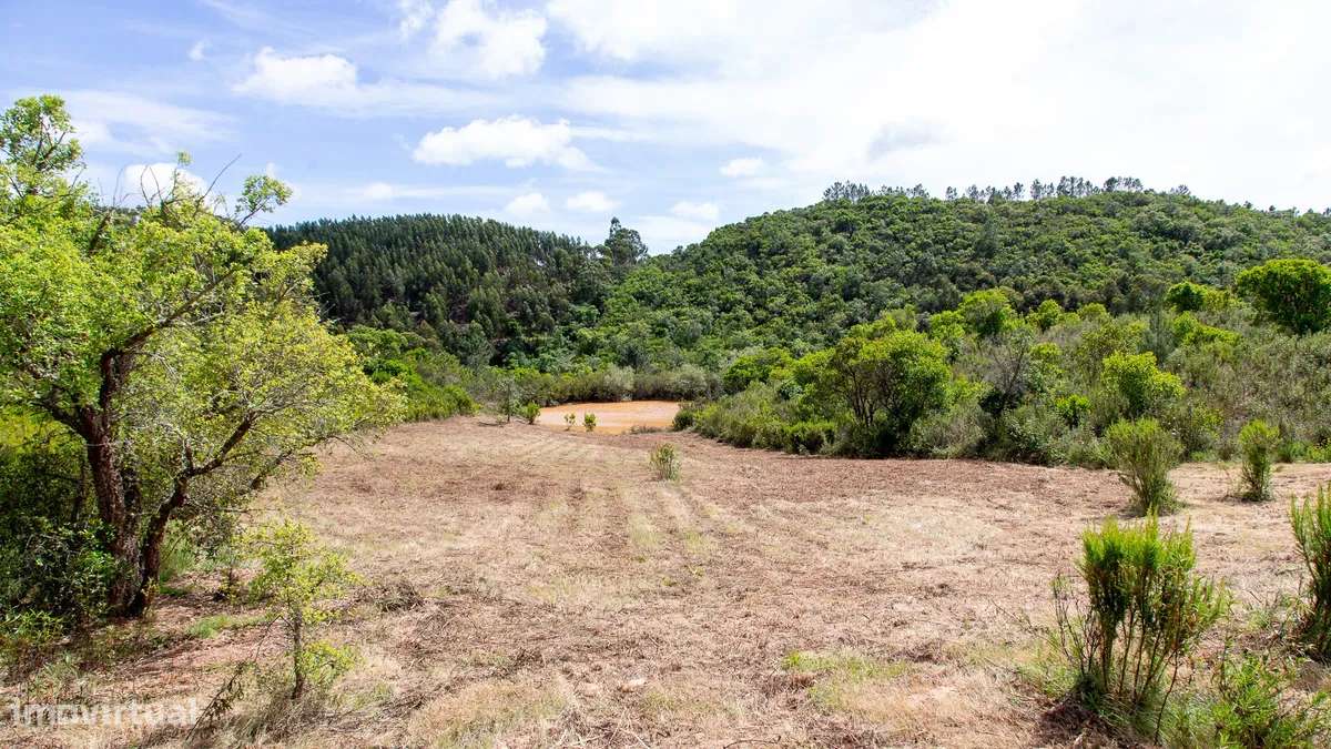 Terreno nas colinas de Carrascalinho com possibilidade de construção - Grande imagem: 4/4