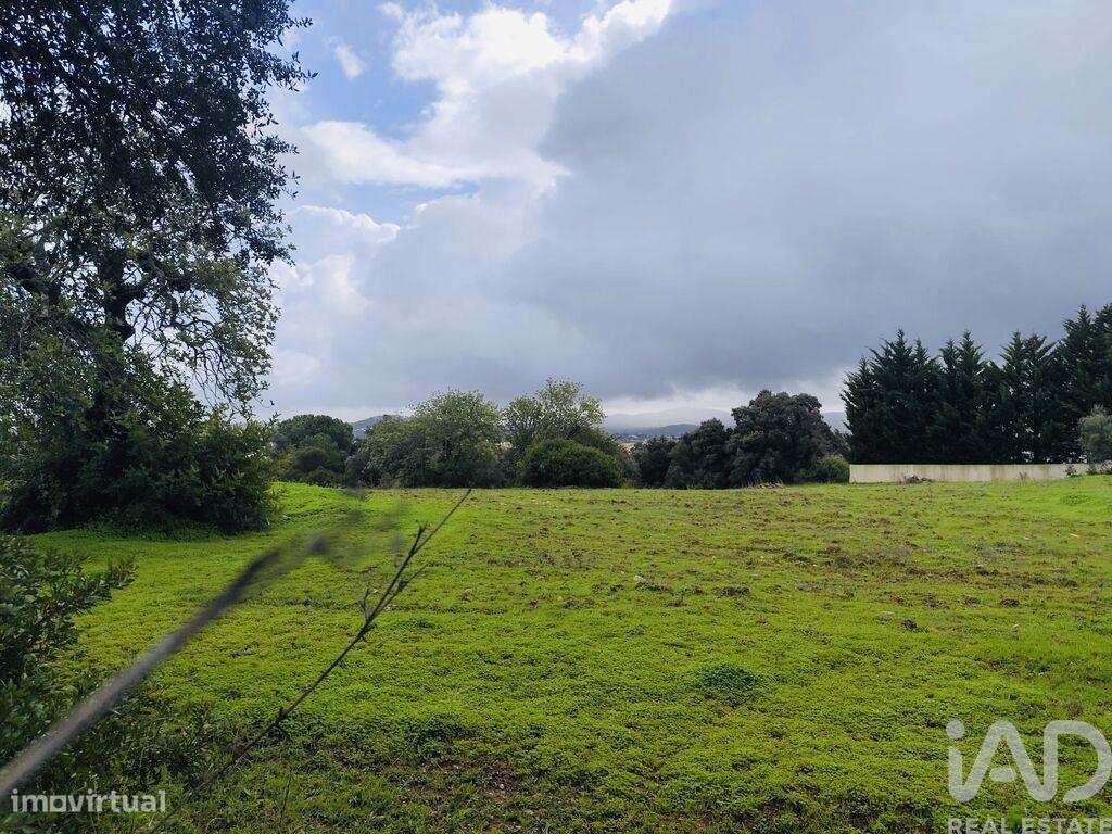 Terreno em São Brás de Alportel - Grande imagem: 2/7