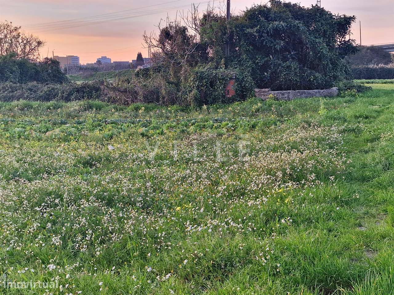 Terreno Urbano para Moradia Isolada á portas da Cidade - Grande imagem: 5/5