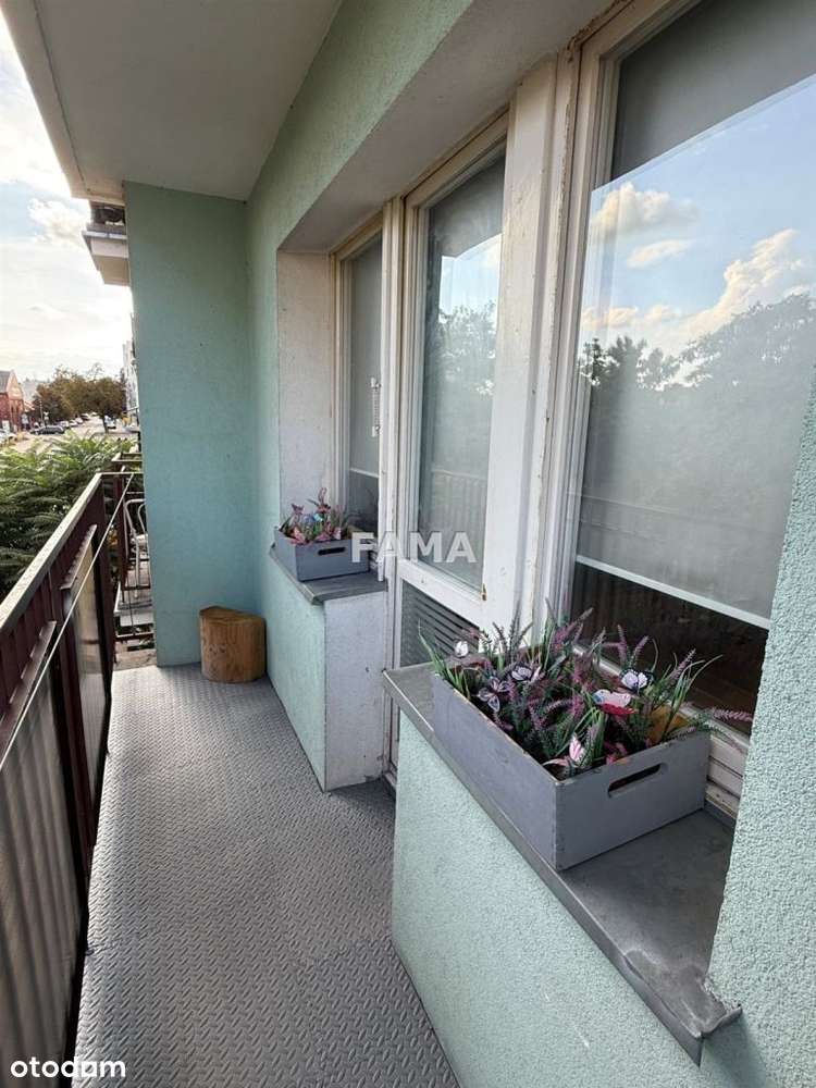 2-pok., 33,50 m2, Śródmieście, loggia, Wolne ! - Pełny obrazek: 3/8