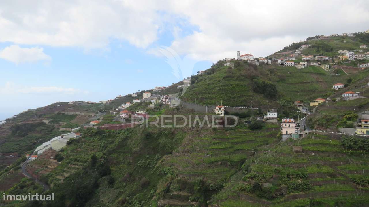 TERRENO  COM 2.387M2 NO ESTREITO DE CÂMARA DE LOBOS - Grande imagem: 5/8