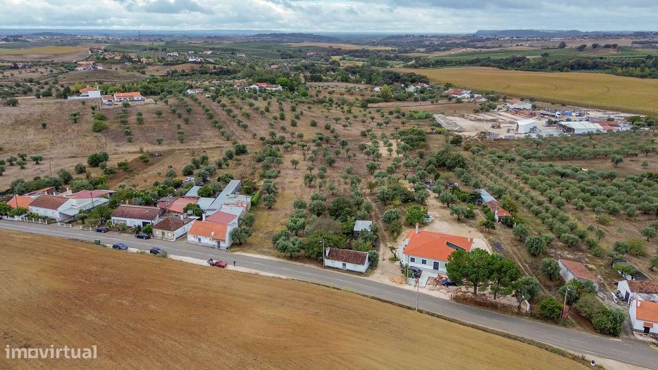 Moradia C/ Terreno Misto de Olival-16