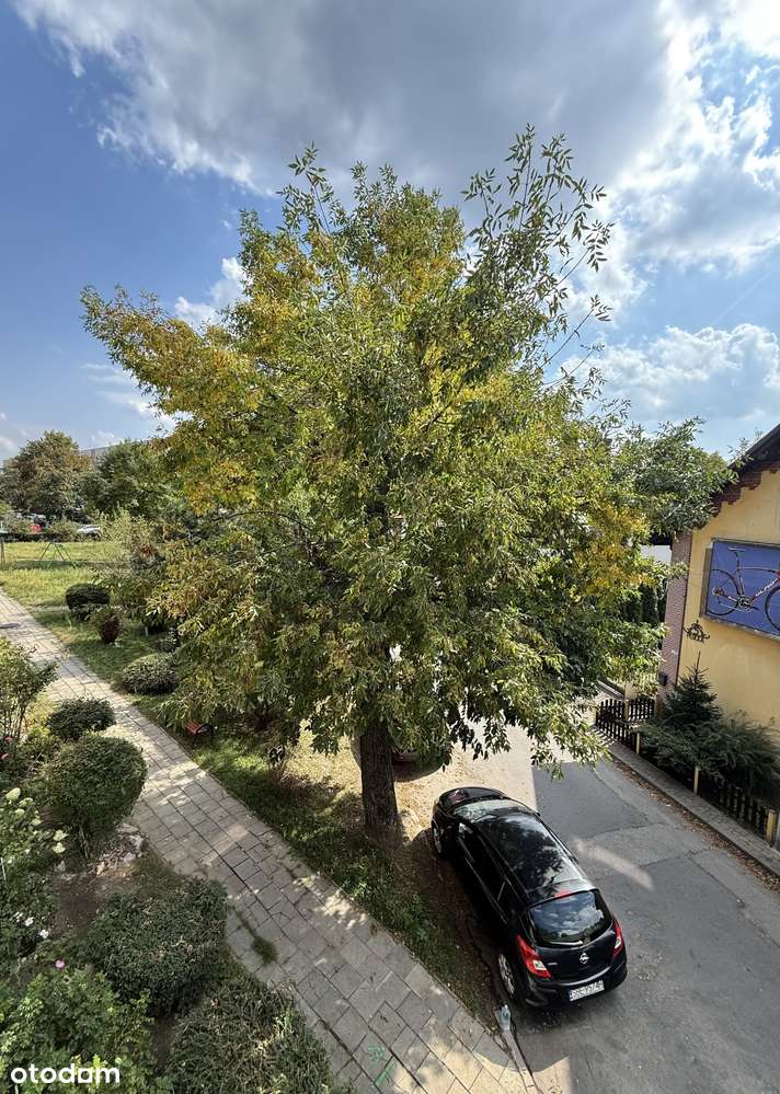 Czeladź Piaski  I piętro  mieszkanie 2 pokoje z balkonem ul.Krakowska-7