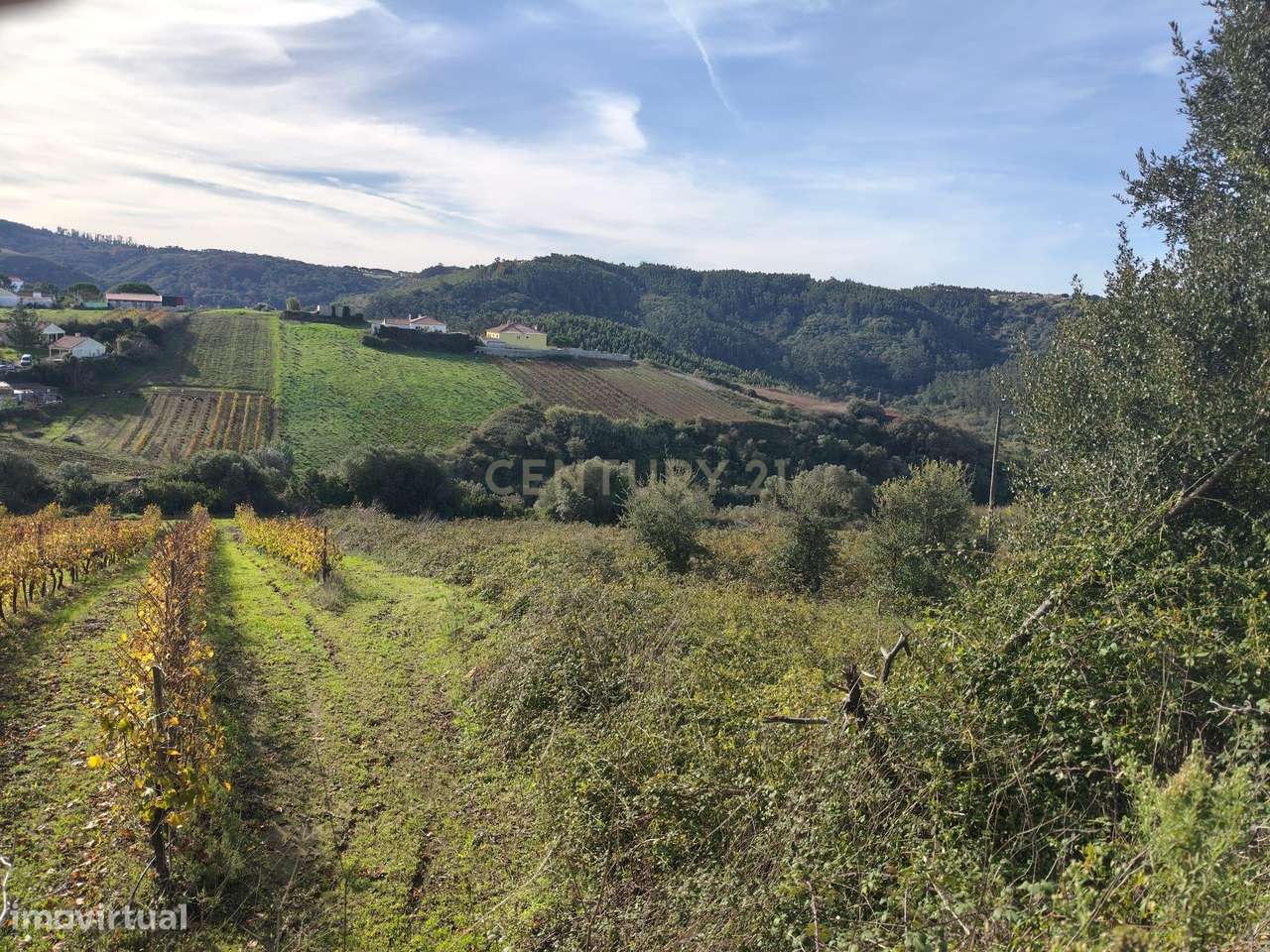 Terreno Rústico – Mafra (Chanca, Sobral da Abelheira) - Grande imagem: 5/11