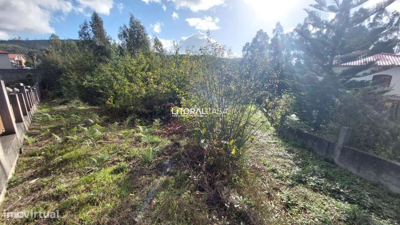 Terreno | Carrazedo do Vouga - Grande imagem: 4/8