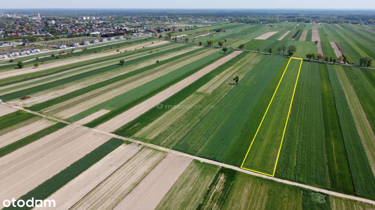 Działka, 9 000 m², Rybno - Pełny obrazek: 4/5