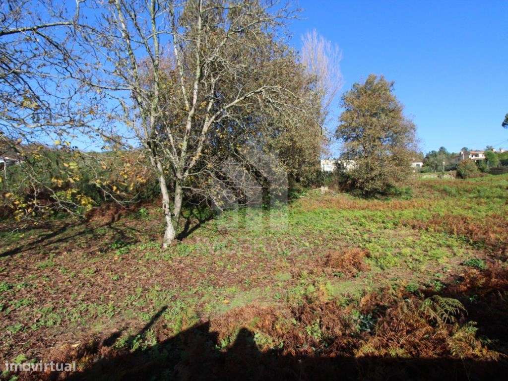 Venda de Terreno para Lotear, em Gualtar, Braga-2