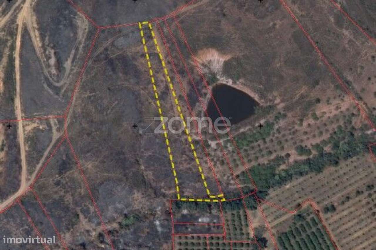 Terrenos Rústicos c/ total de 2.960m2 em Gregórios, Messines - Grande imagem: 2/15