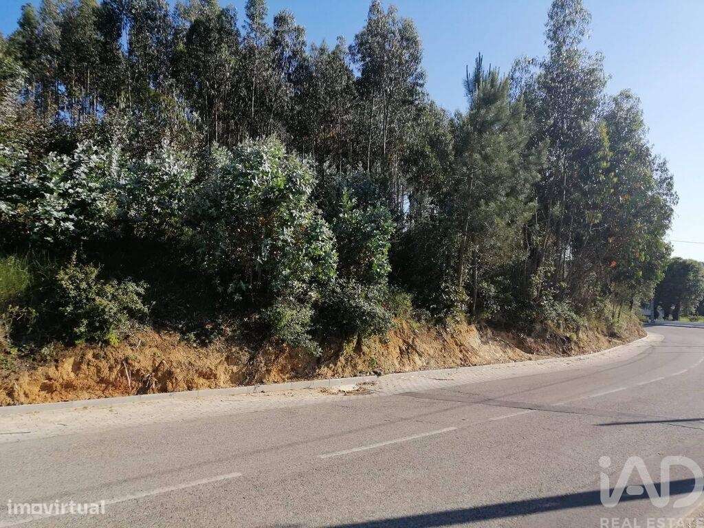 Terreno em Leiria, Pousos, Barreira e Cortes de 1634,00 m2 - Grande imagem: 5/16