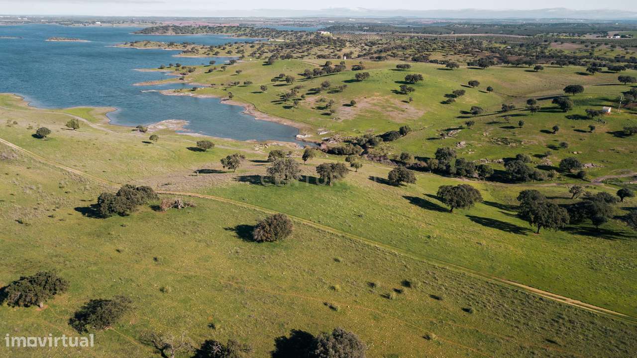 Herdade dos Castelhanos -  190 Hectares, Moura, Alentejo-1