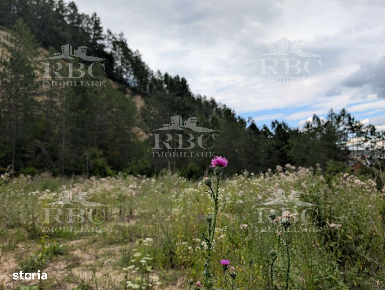 Teren intravilan pentru constructie casa in Cheile Baciului - Imagine principală: 2/8