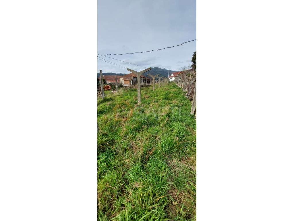 Moradia para restauro. - Grande imagem: 5/6